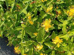 -白塘生态植物园