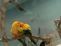 -石家庄市动物园