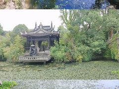 -韩湘水博园