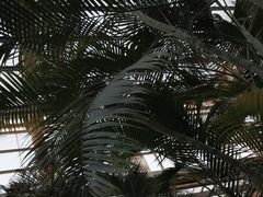 -龙达温泉生态城