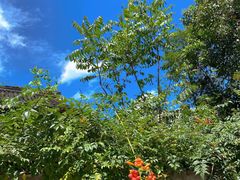 -东钱湖旅游度假区