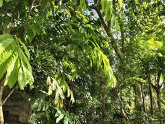 -北京植物园-展览温室