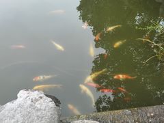 -宜兴张公洞