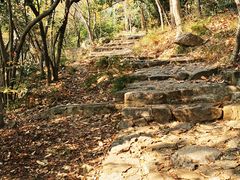 -紫金山山顶公园