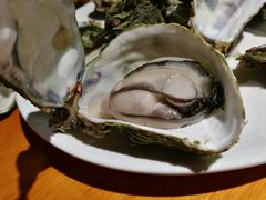 白灼生蚝-南蚝小贝海鲜特色餐厅(南澳岛店)