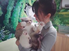 -藦茜花园宠物主题亲子互动体验馆(国顺东路店)