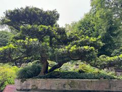 -成都杜甫草堂博物馆