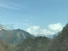 -黑河国家森林公园