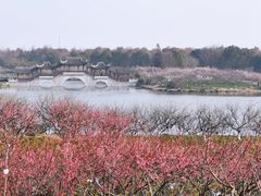 -上海海湾国家森林公园