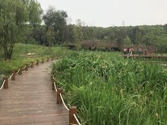 -同里国家湿地公园