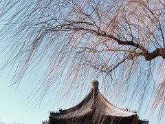 -颐和园