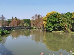 -海珠湖公园