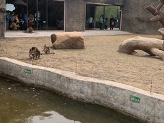 -齐齐哈尔龙沙动植物园