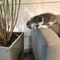 -In Beauty印诺时尚美发沙龙