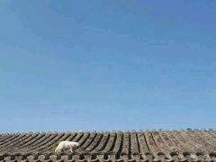 -三品尚院(贝勒府旧址店)