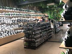 -海南热带野生动植物园