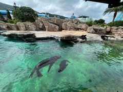 -珠海长隆海洋王国