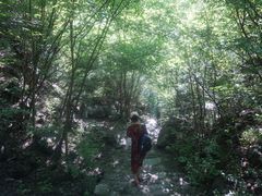 -孤山寨风景区