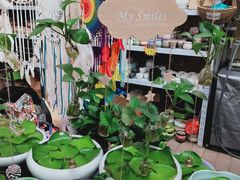 -秦美花卉(天朗·莱茵小城2期店)