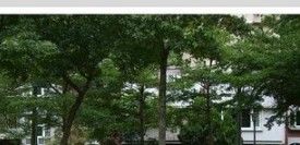 -丹凤公园