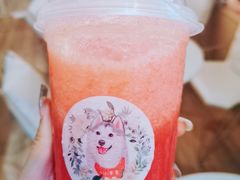 -Husky Go! 哈士奇体验馆·宠物咖啡厅狗咖