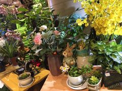 -舌尖上的食缘花园主题餐厅