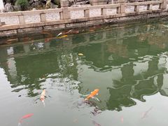-海天楼中餐厅(吴宫泛太平洋酒店)
