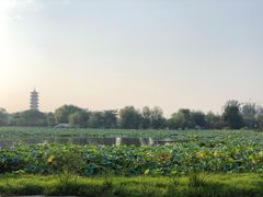 -卡萨布兰卡(梅苑店)