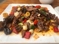 -灯盏窝饭店(新都分店)