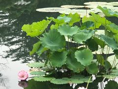 -国家植物园南园