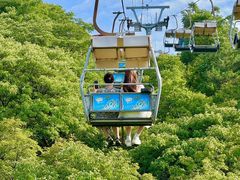 -富斯特索道