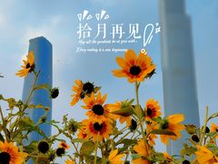 -海心沙亚运公园