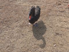 -前小桔亲子创意农场·草莓采摘·露营烧烤