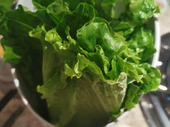 -淘米捞·米汤脆鲩鱼火锅(福田皇岗店)