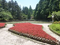 -庐山风景区花径公园