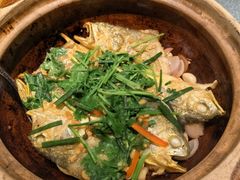 -新雅(丰盛里店)