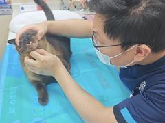 -芭比堂动物医院·CT·微创中心(新顺分院)