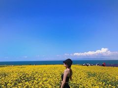 -青海湖国家重点风景名胜区