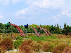 -嘉北郊野公园