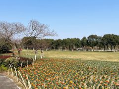-院士公园