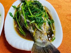 清蒸海鲈鱼-东升饭店(员村三横路店)
