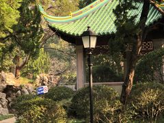 -叶家花园