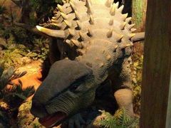 -浙江自然博物院(杭州馆)