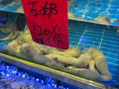 -金海湾海鲜排档(朱家尖店)