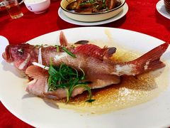 清蒸东星斑-棠记海鲜餐厅(南朗镇店)