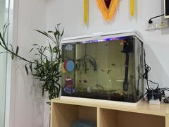 -伊莱素质成长中心(浦东花木校区)