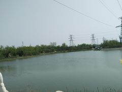 -大港湿地公园