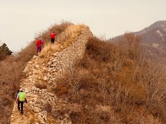 -遵化市禅林寺古银杏风景园