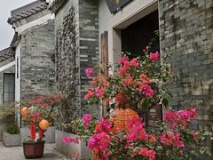 -广州神农草堂中医药博物馆