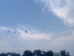 -欢乐水魔方水世界